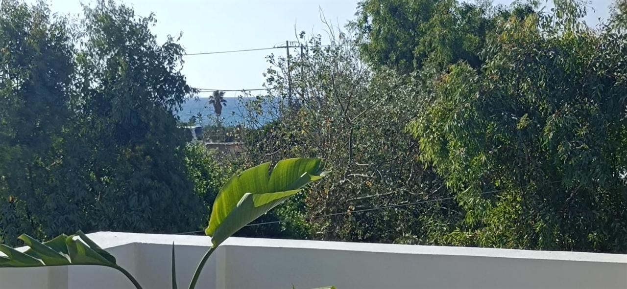 Arokaria Holiday Houses Platanes  Pokoj fotografie